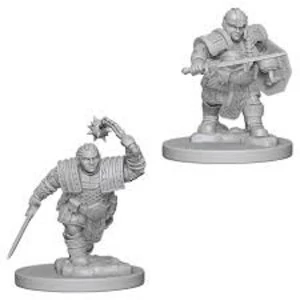 Dungeons & Dragons Nolzur's Marvelous Unpainted Miniatures (W5) Dwarf Female Fighter