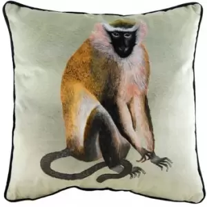 Evans Kibale Monkey Cushion - Multi