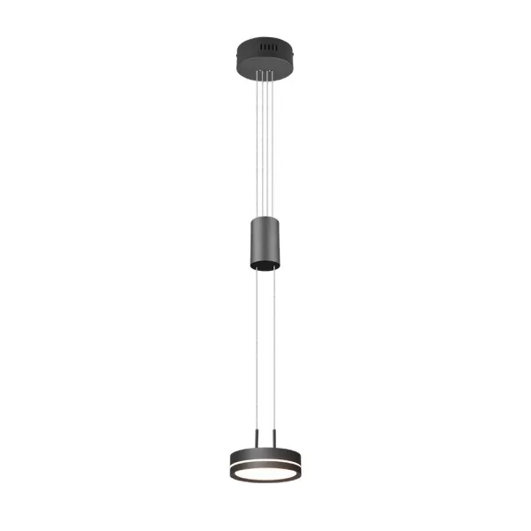 Franklin Modern 9W LED Pendant Ceiling Light Anthracite 3000K