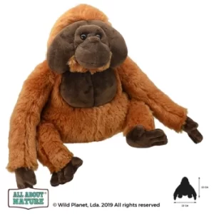 Orangutan (All About Nature) Orangutan 23cm Plush