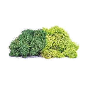 Hornby R7195 Lichen - Large Green Mix