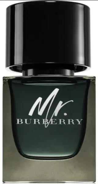 Burberry Mr Burberry Eau de Parfum For Him 50ml