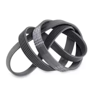 QUINTON HAZELL V-ribbed belt QBR71125 Serpentine belt,Auxiliary belt RENAULT,MEGANE III Grandtour (KZ0/1),SCENIC II (JM0/1_),Scenic III (JZ0/1_)