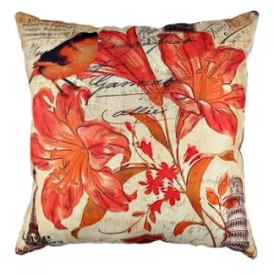 A10843 Multicolor Cushion