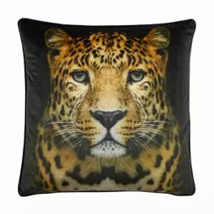 Portrait Cheetah Cushion Black