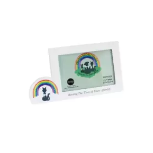 Rainbow Bridge Friends Cat Landscape Photo Frame