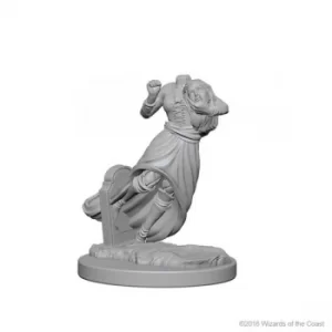 D&D Nolzur's Marvelous Unpainted Miniatures (W1) Ghosts