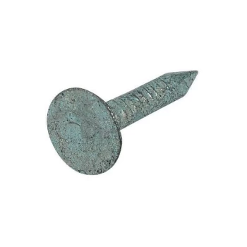 20MM Galvanised ELH Clout (Felt) Nails (500GM) - Matlock