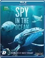 Spy in the Ocean [Bluray]