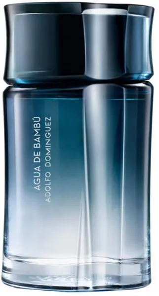 Adolfo Dominguez Agua De Bambu Eau de Toilette For Him 120ml