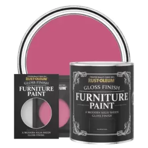 Rust-Oleum Gloss Furniture & Trim Paint - RASPBERRY RIPPLE - 750ml