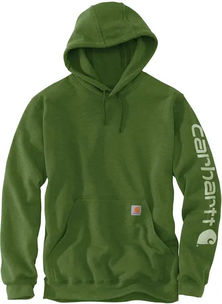 Carhartt Logo, hoodie , color: Dark Green (L01) , size: XL