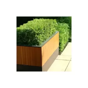 Box Hedging pack - 10 plants