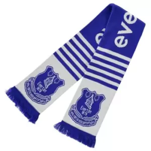 Team Football Scarf - Silver