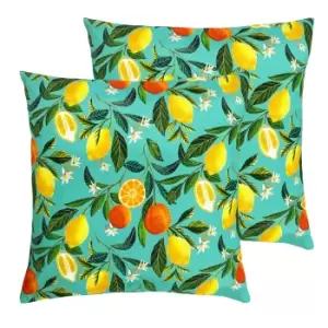 Orange Blossom Outdoor Twin Pack Cushion Multi