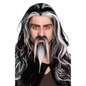 moustache And Beard Of Evil Wizard Fancy Dress