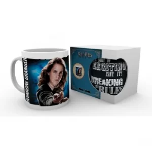 Harry Potter Dynamic Hermione Mug