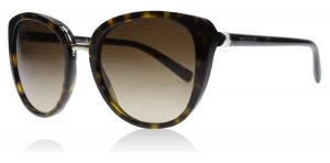 Bvlgari BV8177 Sunglasses Dark Havana 504-13 53mm