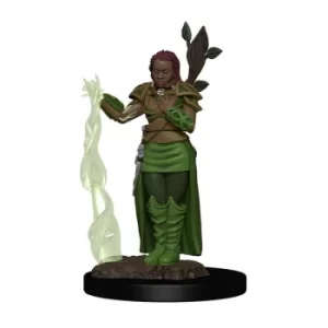 D&amp;D Icons of the Realms Premium Miniature pre-painted Human Female Druid Case (6)