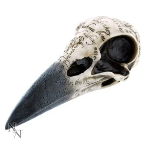 Edgars Raven Skull 21cm