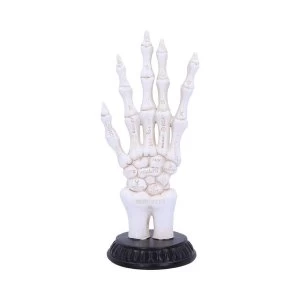 Skeletal Palmistry Skeleton Hand Figurine