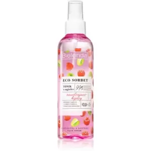 Bielenda Eco Sorbet Raspberry Moisturizing & Soothing Face Toner