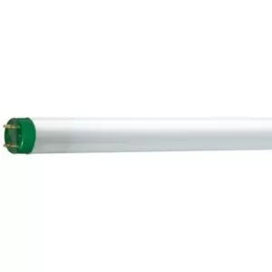 Philips Master 32W 4ft T8 Tube Daylight - 26464040