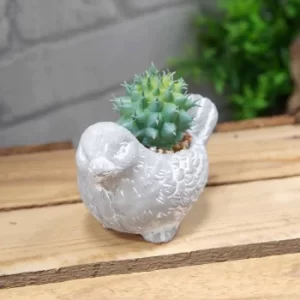 Decorative Bird Potted Succulent