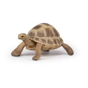 Papo Wild Animal Kingdom Hermann's Tortoise Toy Figure, 3 Years or...