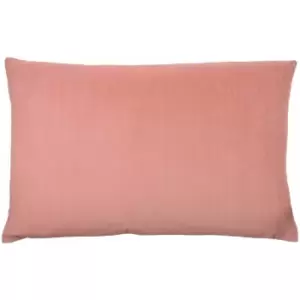 Furn Contra Soft Velvet Cushion Cover, Blush, 40 x 60 Cm