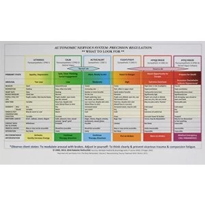 Autonomic Nervous System Table: Laminated Card Cards 2017