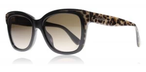 Jimmy Choo Bebi/S Sunglasses Black / Brown PUEJ6 53mm