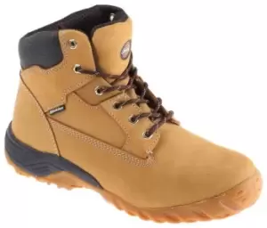 Dickies Graton Honey Steel Toe Capped Mens Safety Boots, UK 9, EU 43