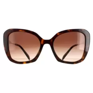 Fashion Tortoise Brown Gradient PR03YS