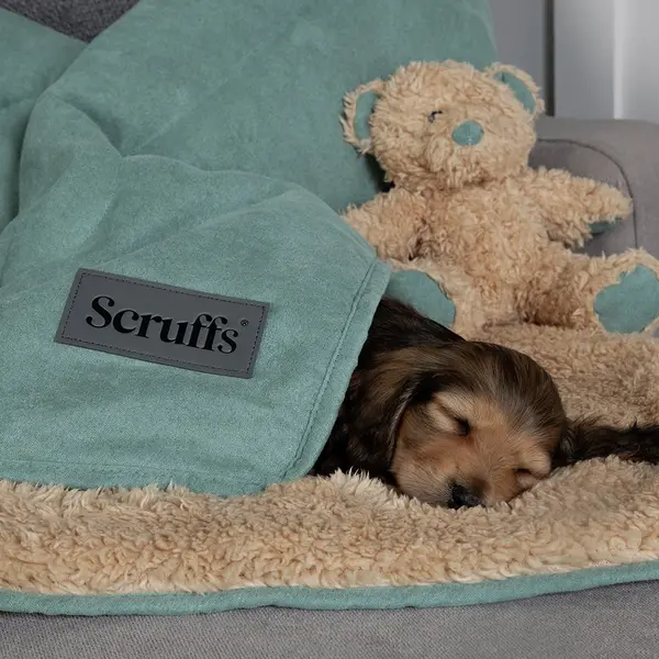 Scruffs Snuggle Blanket Sage-Green