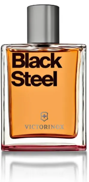 Black Steel Eau de Toilette For Him 100ml