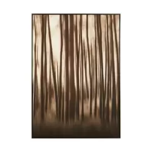 Premier Housewares Astratto Black/Natural Classic Wall Art