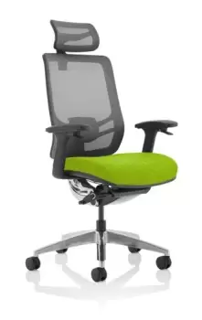 Ergo Click Bespoke Fabric Seat Myrrh Green Black Mesh Back with Headrest