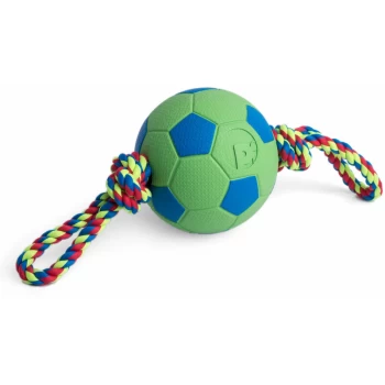 Toyz Tug & Kick Ball Dog Toy