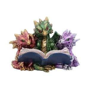 Tales of Fire Reading Dragon Figurine