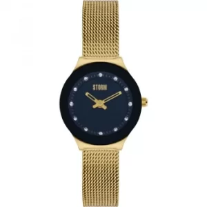 Storm Arin Gold-Black Watch