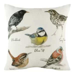 Species Birds Cushion Multicolour, Multicolour / 43 x 43cm / Polyester Filled