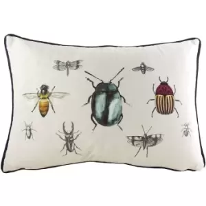 Evans Lichfield Eden Insects Cushion Cover (One Size) (Multicoloured) - Multicoloured