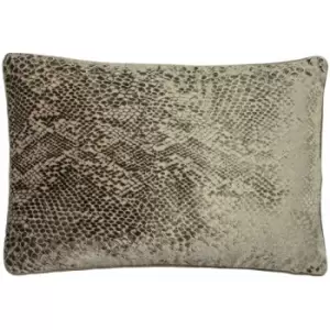 Paoletti Python Snakeskin Print Velvet Piped Edge Cushion Cover, Champagne, 40 x 60 Cm