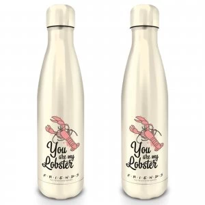 Friends (You Are My Lobster) Metal Drinks Bottle