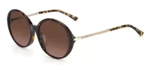 Jimmy Choo Sunglasses Dagna/F/S Asian Fit 086/HA