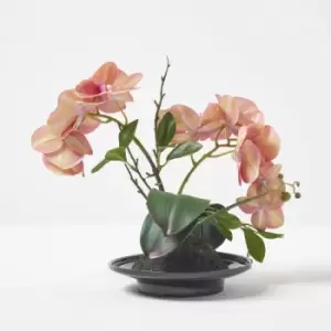 HOMESCAPES Coral Orchid 32cm Phalaenopsis in Ceramic Pot - Coral