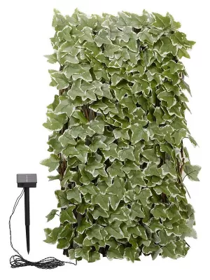 Smart Solar Solar Inlit Ivy Trellis 90X180