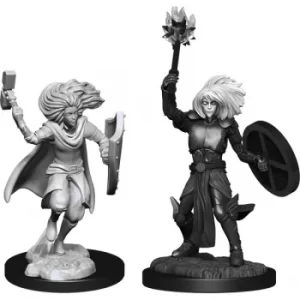 D&D Nolzur's Marvelous Unpainted Miniatures (W14) Changeling Cleric