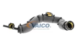 VAICO Crankcase Breather PEUGEOT,CITROEN V42-0856 1192V8,1192WL Crankcase Ventilation,Hose, crankcase breather